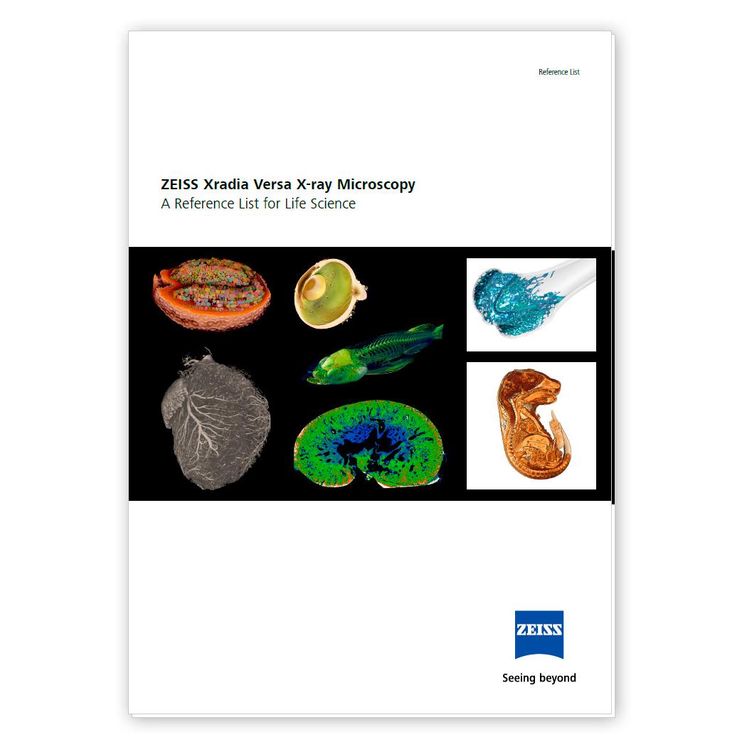 ZEISS Microscopy Techniques for Neuroscience Ebook